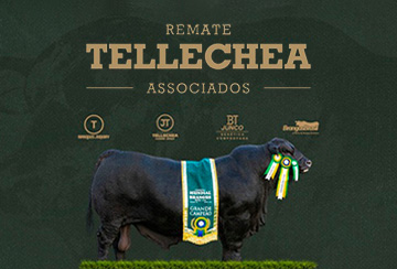 REMATE TELLECHEA ASSOCIADOS